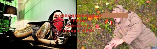 спайс Горнозаводск