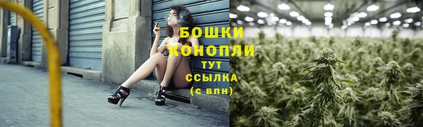 2c-b Горняк