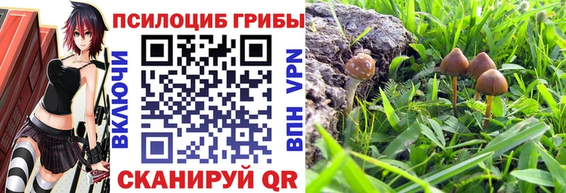 Псилоцибиновые грибы GOLDEN TEACHER  Красногорск 